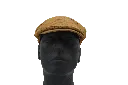 darkon camel 3.webp