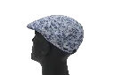 davison blauw 4.webp