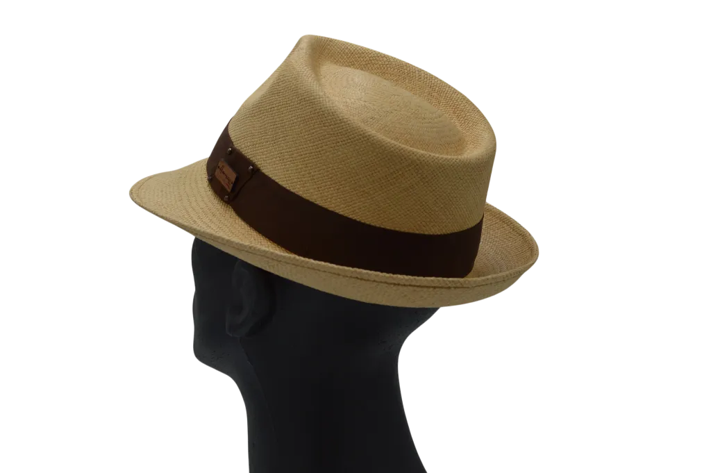 hadrianus camel 2.webp