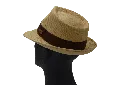 hadrianus camel 2.webp