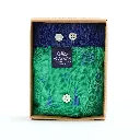 M5455_BOX_Lres.webp