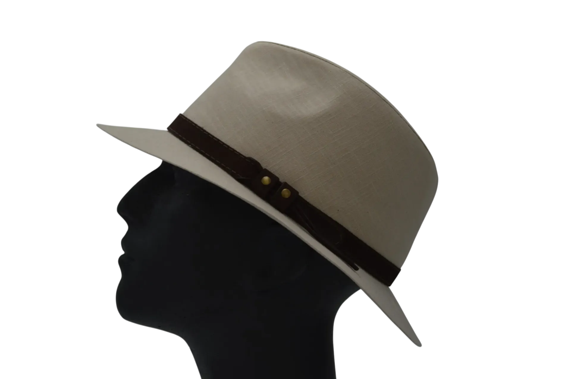 Leonardo traveller (55)