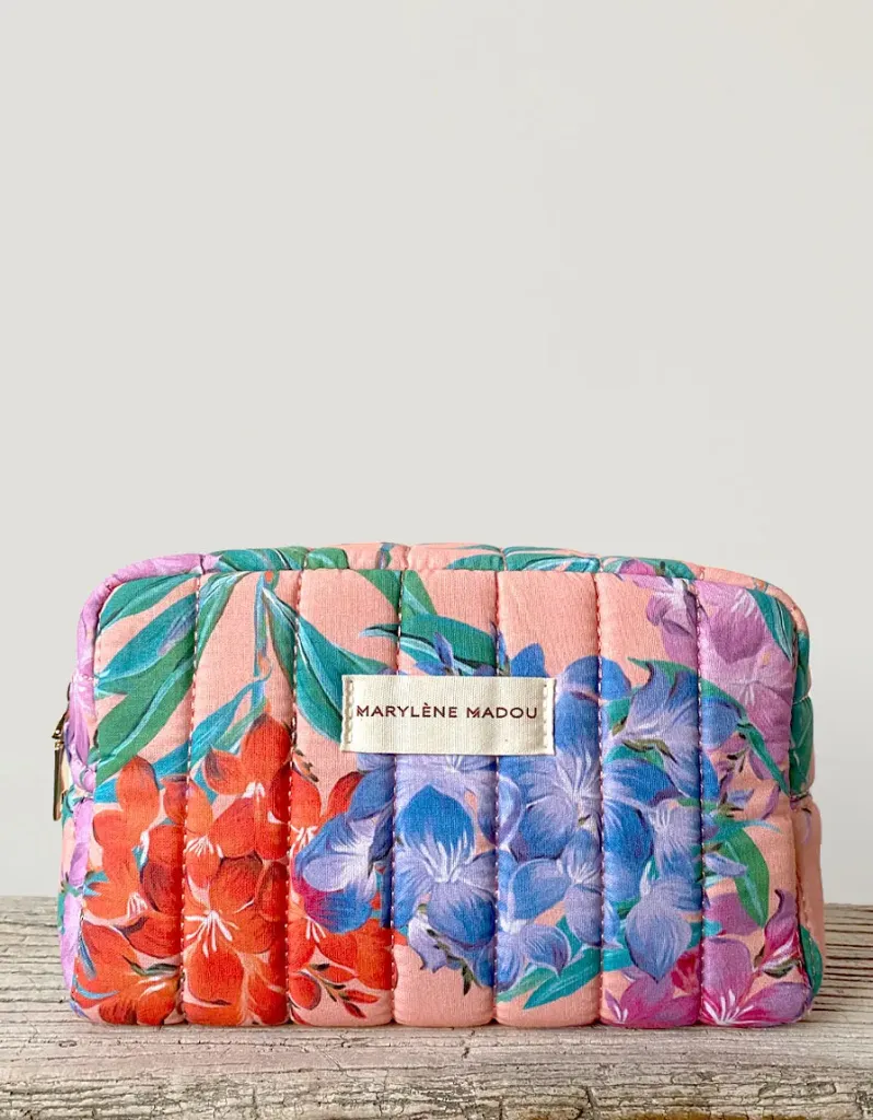 Hydrangeas toiletzak klein